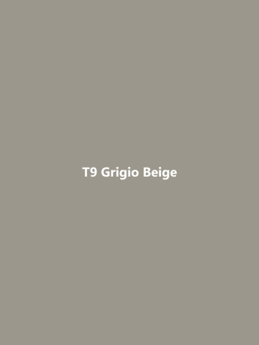 T9 Grigio Beige фото 2