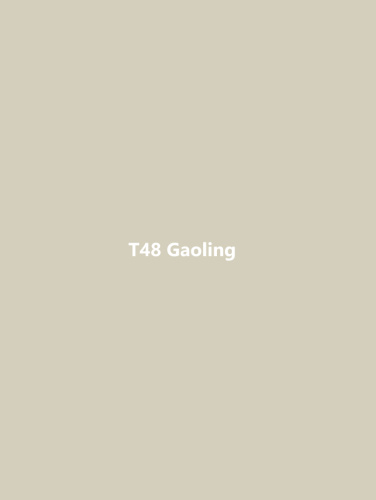 T48 Gaoling фото 2