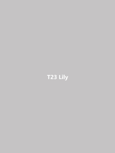 T23 Lily фото 2