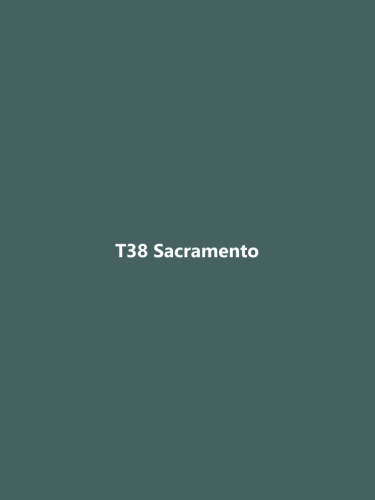 T38 Sacramento фото 2